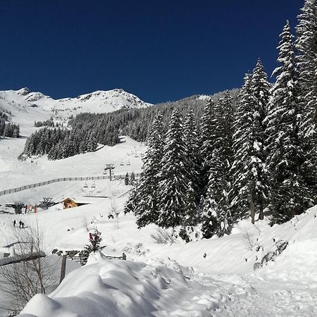 Superbe Studio Aux 7 Laux La Ferriere  Exterior photo
